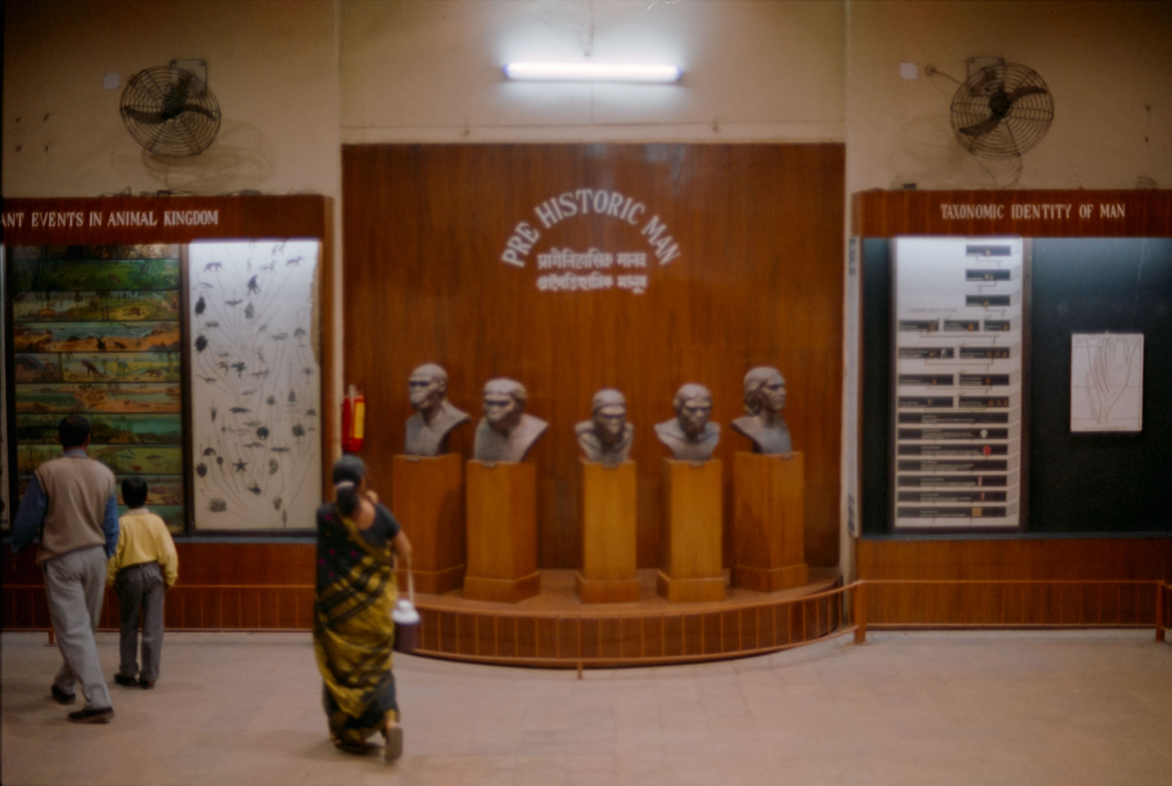 AHP film 2005 01 002 sc240825 img08 NLP